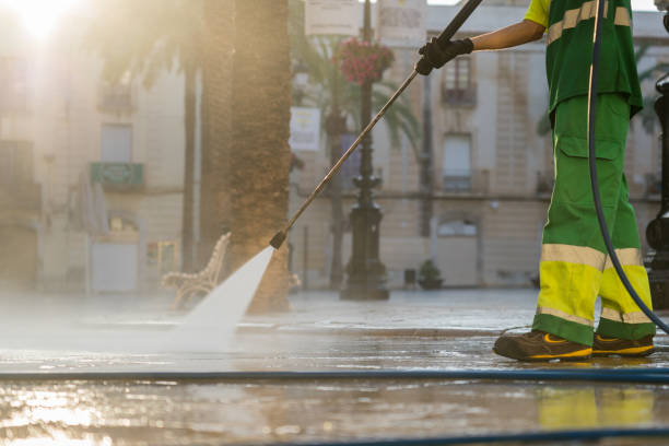 Best Solar Panel Cleaning  in Level Park Oak Park, MI